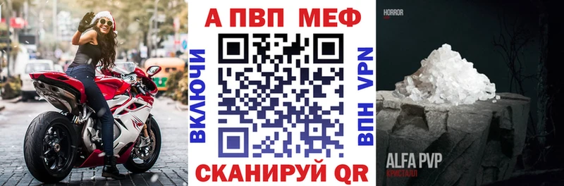 Альфа ПВП СК  Лодейное Поле 