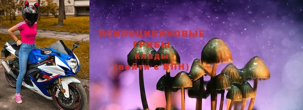 PSILOCYBIN Вязьма