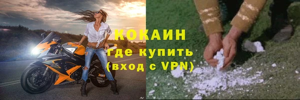 шишки Вязники