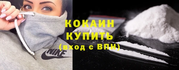 соль ск Новодвинск
