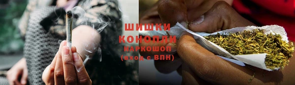 соль ск Новодвинск