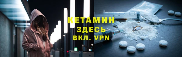 крисы Новозыбков
