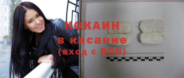 крисы Новозыбков
