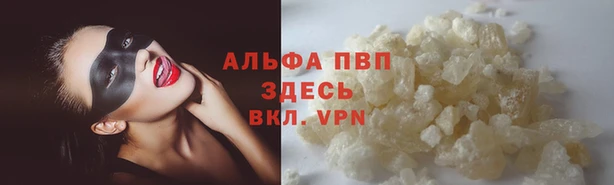 mdpv Новокубанск