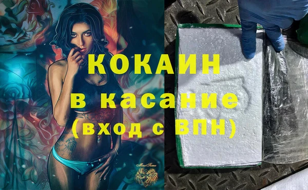 шишки Вязники