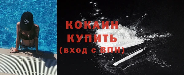 соль ск Новодвинск