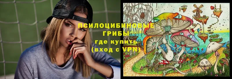 Псилоцибиновые грибы MAGIC MUSHROOMS  купить наркотики цена  Лодейное Поле 